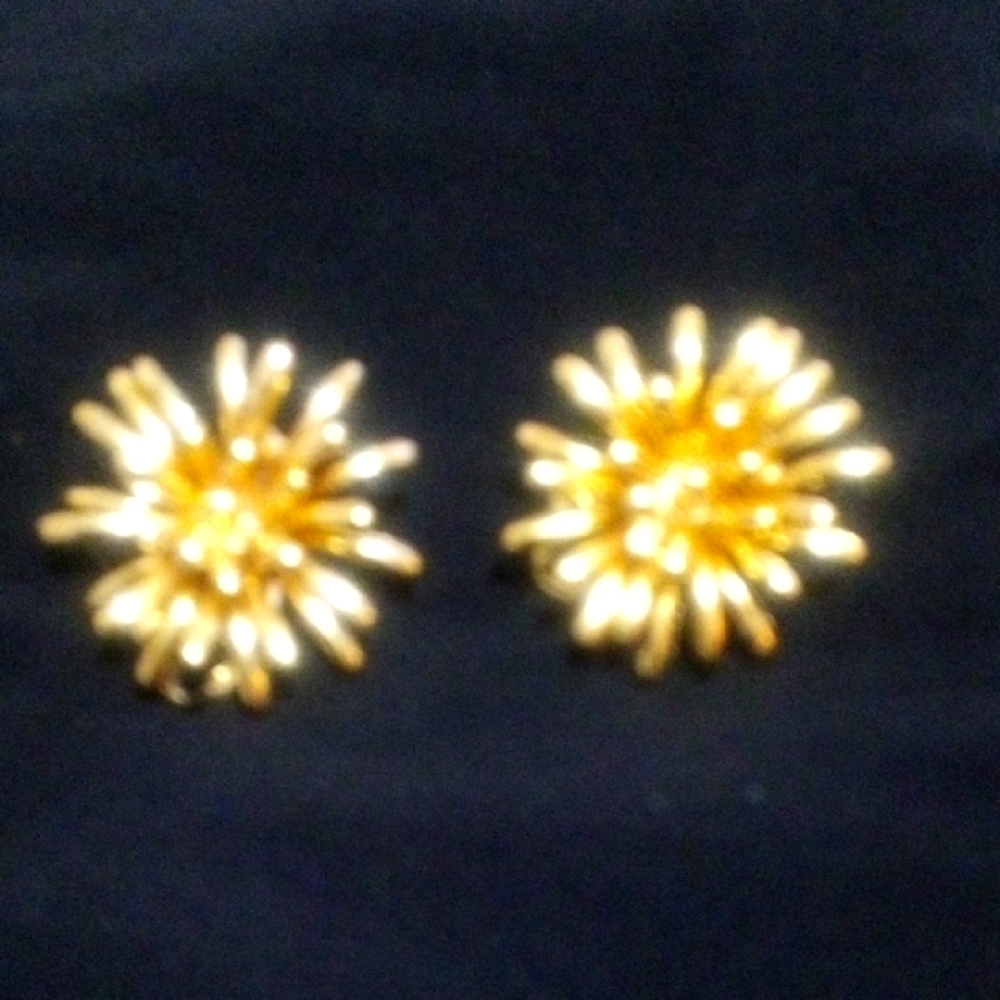 ORENA Earrings - Vintage